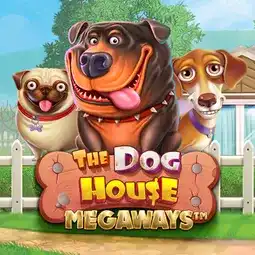 The Dog House Megaways gra w Toto Casino dla graczy z Polski The Dog House Megaways gra w Toto Casino dla graczy z Polski