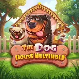 The Dog House Multihold gra w Toto Casino dla graczy z Polski The Dog House Multihold gra w Toto Casino dla graczy z Polski